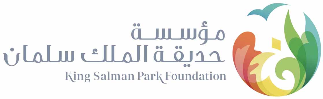 Logo 7
